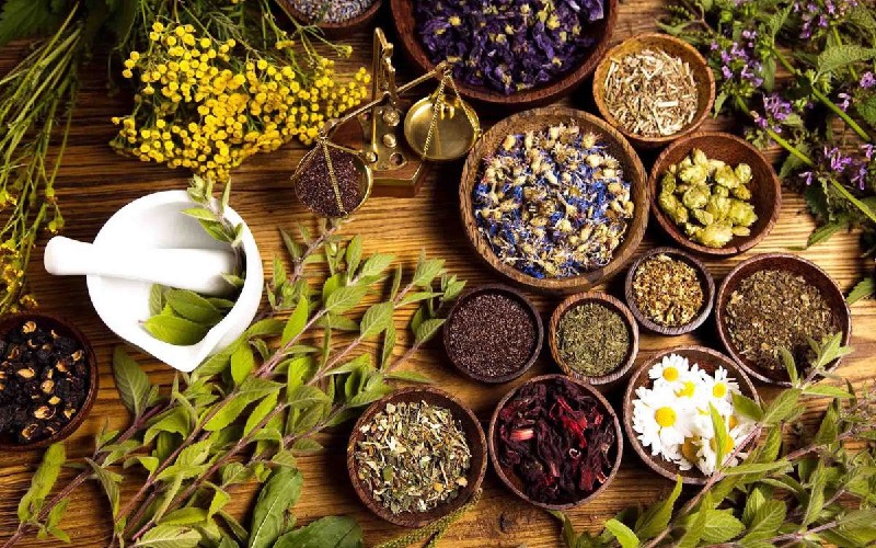 Ý nghĩa và các bước quy trình chuẩn của kiểm nghiệm dược liệu 3 kiểm nghiệm dược liệu chứa alcaloid