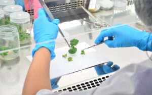 ý nghĩa kiểm nghiệm dược liệu