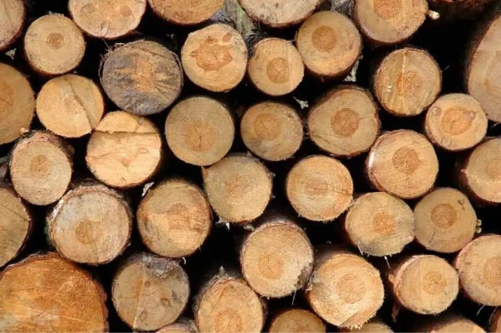 Kiểm nghiệm chất lượng gỗ ở đâu uy tín? 9 Kiểm nghiệm chất lượng gỗ