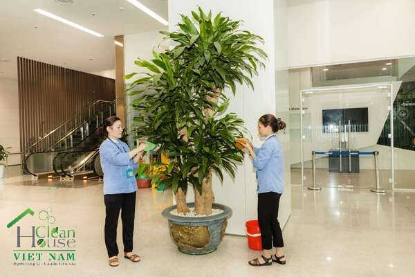 Dịch vụ vệ sinh toàn nhà: tiêu chuẩn mới cho không gian sống và làm việc hiện đại